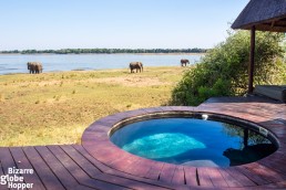 View towards Zambezi River from the private pool of Royal Zambezi Lodge