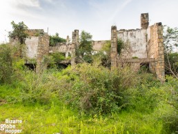 The overgrown Pakuba Lodge ruins, seen from the hilltop