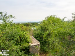 We climbed on the railing to access the overgrown swimming pool of the old Pakuba Lodge