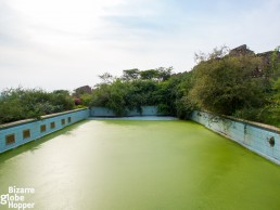 The gorgeously dilapidated swimming pool of the old Pakuba Lodge