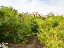 The overgrown path from the swimming pool to the old Pakuba Lodge ruins