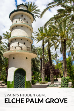 Have you ever heard of the Europe’s biggest palm grove? Walk below 200 000 palm trees and lose yourself in the Museo del Palmeral.