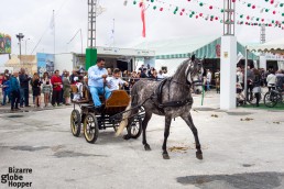 Kids enjoying the horse carriage ride at Feria de Sevillanas, Torrevieja