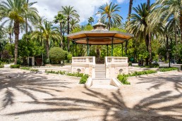 Visit Elche Palm Grove in Spain, the biggest palm grove in Europe!