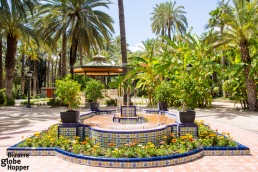 Europe's biggest palm grove forms Elche City Park