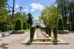 The visitor center inside Elche Palm Grove, El Palmeral