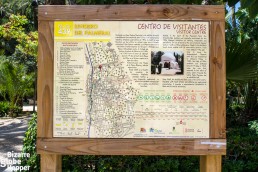 Sendero del Palmeral, a walking route through the palm groves