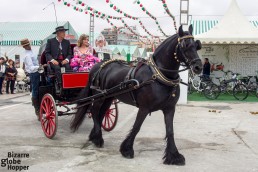 Horse carriages showing off during Feria de Sevillanas