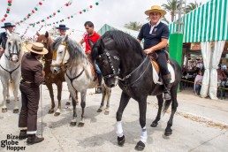 Beautiful Andalucian horses at Feria de Sevillanas, Torrevieja