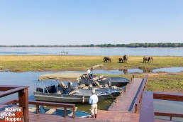 Elephants visiting the shore just in front of Royal Zambezi Lodge