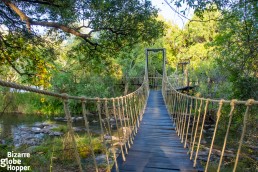 Secluded cabins are connected with hanging walkways