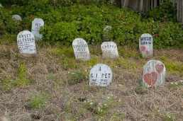 Bike to the Golden Gate – and Presidio pet cemetery near Golden Gate Park!