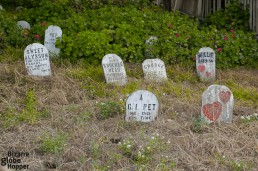 Presidio is the last resting place for military pets