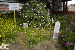 Presidio pet cemetery lurks under the highway bridge