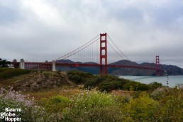 Got to love these epic views to the Golden Gate Park!