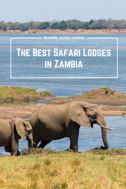 Smell out the hidden gems of Zambia! Optimize wildlife watching opportunities, find the best guides and delight in lavish camps.