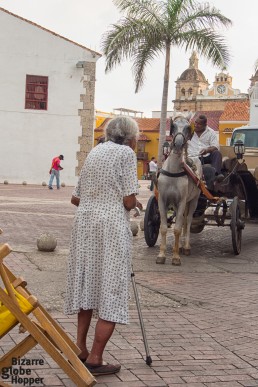 Old lady watching horse carriages passing by just before sunset hour, Cartagena