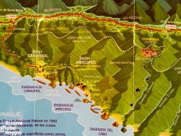 Map showing the hiking routes of Tayrona National Park. Doesn't it resemble old board games?