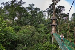 Danum Valley's Canopy Walkway is a dream come true for nature photographers