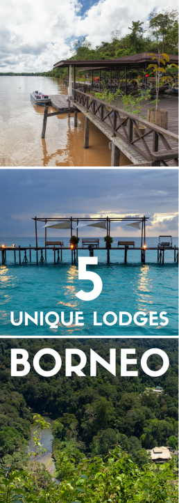 Stay at luxurious lodges while exploring the rainforests, reefs and rivers of Borneo! We handpicked the best lodges of Borneo to make your visit truly memorable.