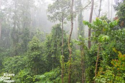 Stunning view to the rainforest from our private terrace in MY Nature Resort - it rains in the rainforest!