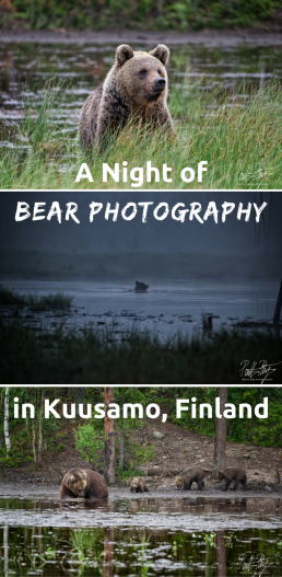 Photographing bears through the night in a hide in the Finnish wilderness in Kuusamo.