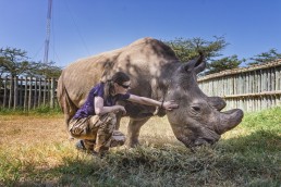 Me with Sudan in February 2016 in the Ol Pejeta Conservancy in Kenya.