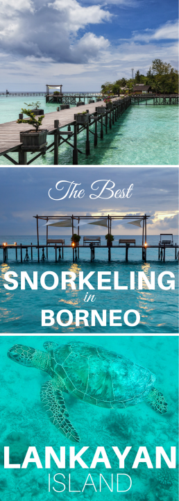 #Lankayan Island in #Borneo offers world-class snorkeling right from the shore – without the crowds. Swim with the turtles, spot rays and sharks and marvel colorful, healthy coral reefs!