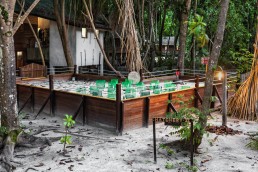 Sea turtle hatchery in Lankayan Island, Malaysian Borneo