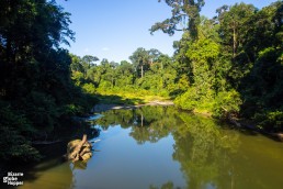 Danum River pierces the primary rainforest of Danum Valley in Sabah, Borneo