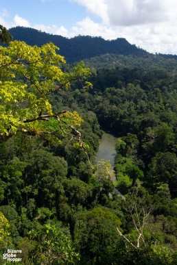 View to Borneo's primary rainforest from Viewpoint Hike, Danum Valley