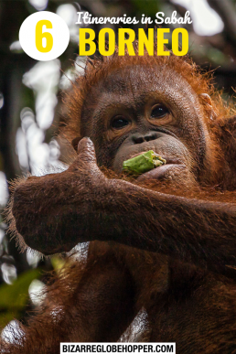 Choose from six exciting Sabah trips ranging from 3-5-day stay to one-week itineraries. Find the right destinations for your interests and budget – and start planning your trip to Sabah, Borneo! #Sabah #Borneo #Malaysia #itinerary #Asia #traveltips