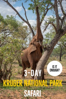3-Day Kruger National Park Safari With Shinzelle Safaris