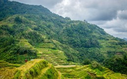 Honeymoon in the rice patties of Banaue, the Philippines