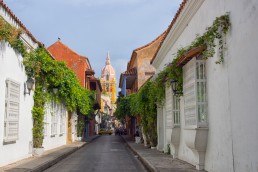 The yellow tower and terracotta dome of Cartagena's cathedral illustrate the most famous street views of Old Cartagena, Colombia