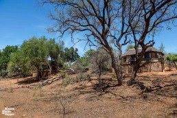 Chalets of Baluleni Safari Lodge by Olifants River in Balule Nature Reserve