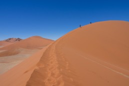 Climbing Dune 45 in Sossusvlei: the second highest dune in Namibia