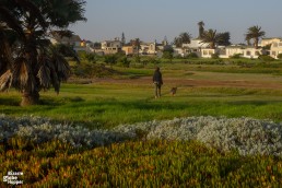 Walk or bike through Swakopmund's municipal gardens on seaside promenade