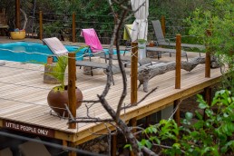 Swimming pool overlooking the waterhole in Sausage Tree Safari Camp, Greater Kruger National Park