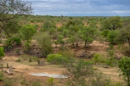 Waterhole for watching wildlife in Sausage Tree Safari Camp in Balule Reserve, Greater Kruger National Park